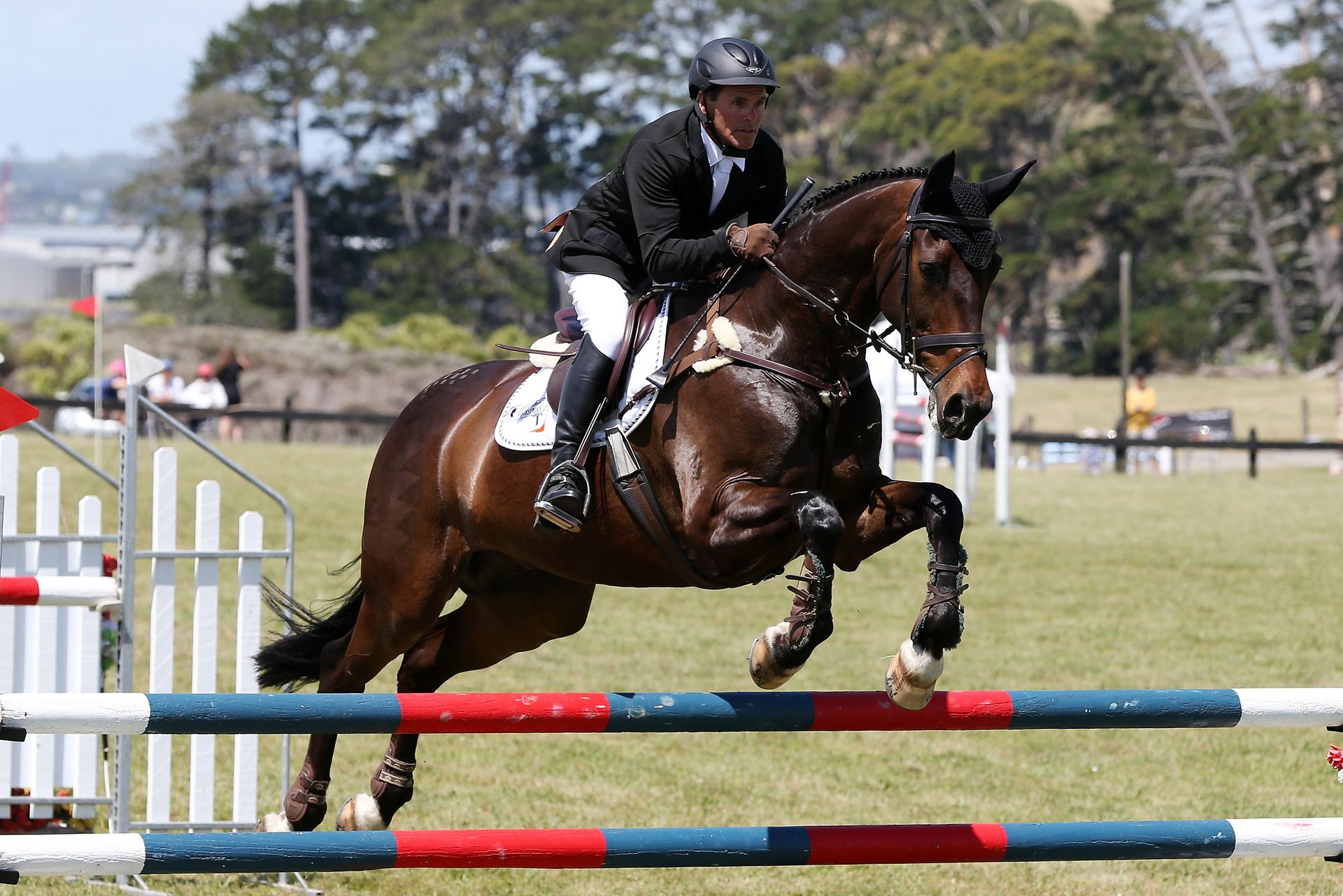 Equestrian - Jumping